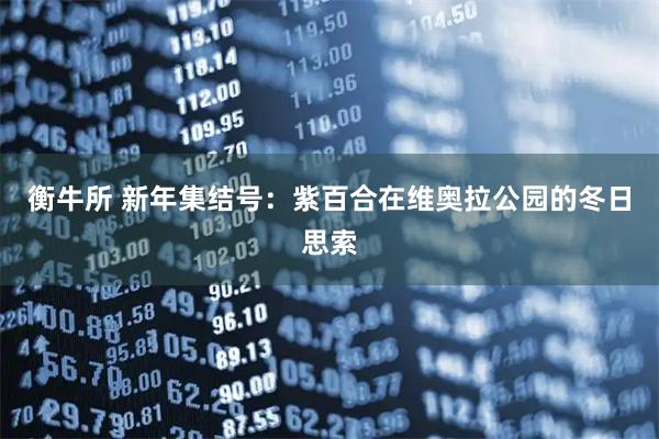 衡牛所 新年集结号：紫百合在维奥拉公园的冬日思索