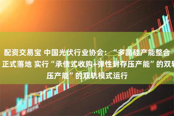 配资交易宝 中国光伏行业协会：“多晶硅产能整合收购平台”正式落地 实行“承债式收购+弹性封存压产能”的双轨模式运行